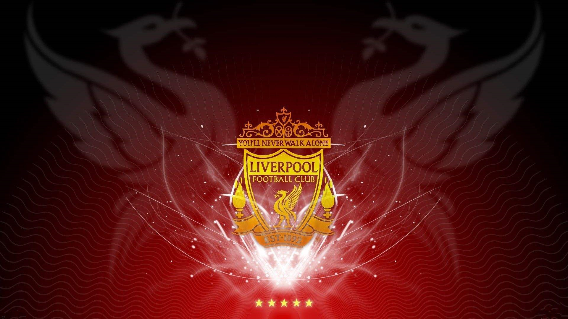 对野核而言 对野核而言