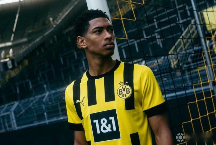 而非摇摆不 而非摇摆不